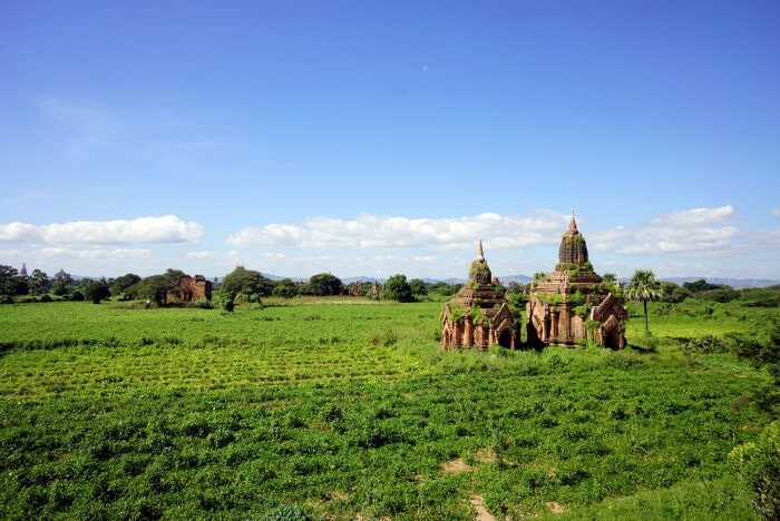 Vue verdoyante sur quelques temples à Bagan.