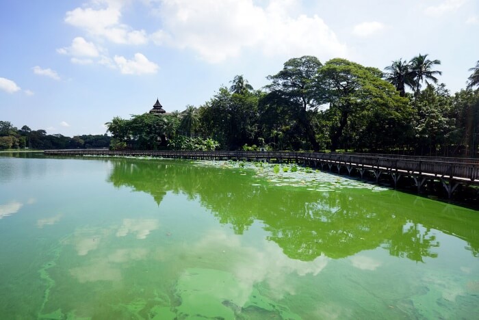 Rangoun nous a séduite surtout pour ses nombreux parcs et pour ses grands lacs.
