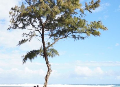 Nous sommes arrivés samedi à la Réunion où nous allons rester 2 mois !!…