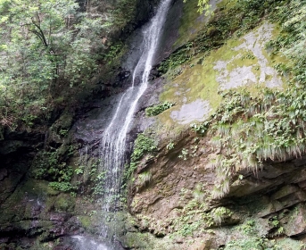 DSC03820