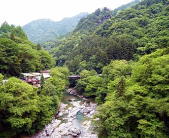 DSC03850
