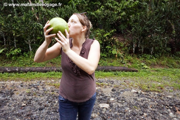 Randonnée dans le parc El Yunque