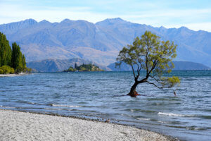 Wanaka